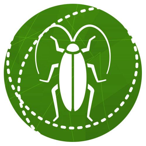 Cockroaches, Ants, Spiders