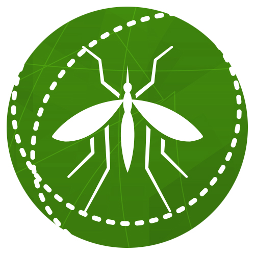 Other Occasional Invaders