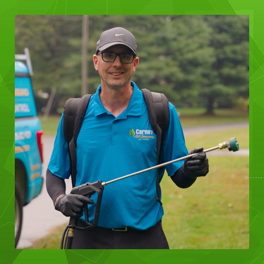  Step 2: On-Site Inspection by a Licensed Specialist