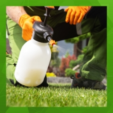 Step 3: Placement Plan & Visit Frequency