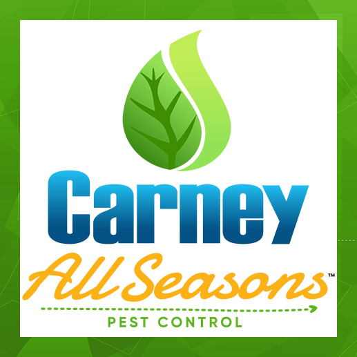 Step 4: Tailored Pest Control Agreement