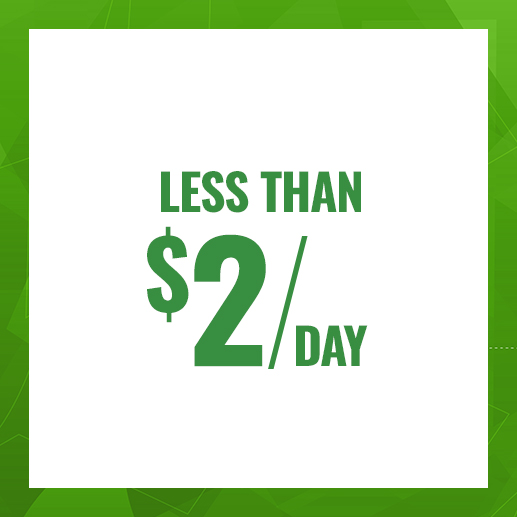 Get Pest Management Starting at Less Than $2/day