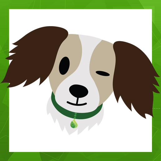 Become a Club or VIP Member