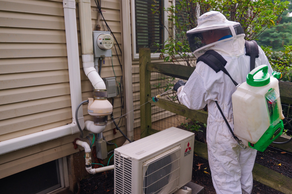 Why Having a Pest Prevention Plan Is a Smart Investment for Homeowners